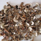 белые грибы сухие целые
